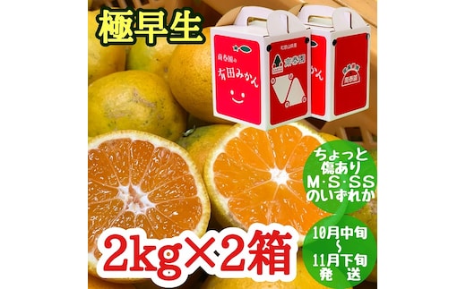 ちょっと 傷あり 極早生 みかん 有田 M～SSサイズ 約2kg × 2箱 手さげ箱 南泰園_ZF6026n
