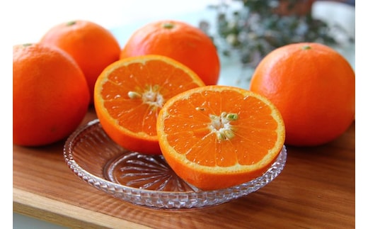 ZS6139n_主井農園 高級 セミノール 青秀 2.5kg