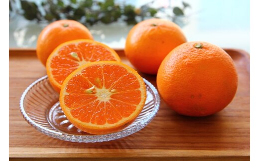 ZS6142n_主井農園 高級 カラマンダリン 青秀 2.5kg