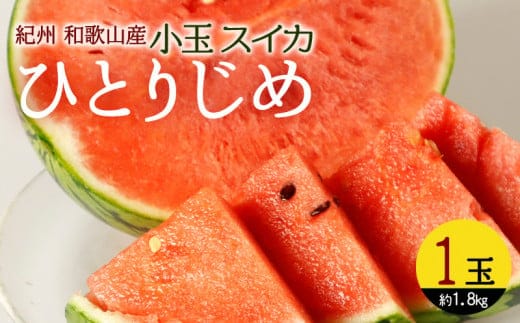 G7076_【2026年先行予約】紀州 和歌山産 小玉 スイカ 「ひとりじめ」 1玉