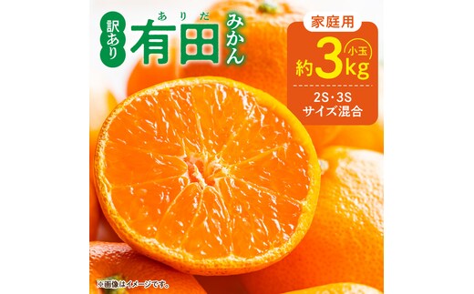 DZ6033_【2026年先行予約】家庭用 ご有田みかん 和歌山 小玉(2S,3Sサイズ混合) 約3kg