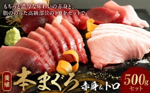 AZ6019_本マグロ （養殖） 赤身 ＆ トロ セット 500g