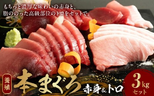 AZ6021_本マグロ （養殖） 赤身 ＆ トロ セット 3kg