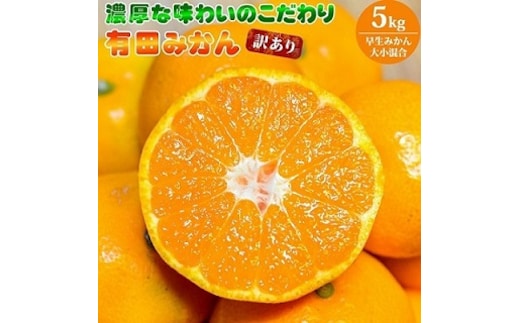 EA6034n_（訳あり 家庭用）濃厚な味わいのこだわり 有田みかん 5kg (早生みかん・大小混合)