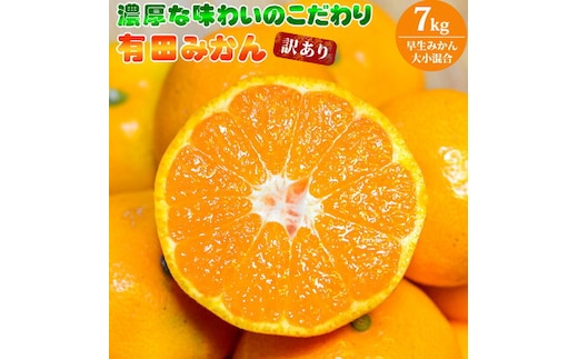 EA6035n_（訳あり 家庭用）濃厚な味わいのこだわり 有田みかん 7kg (早生みかん・大小混合)