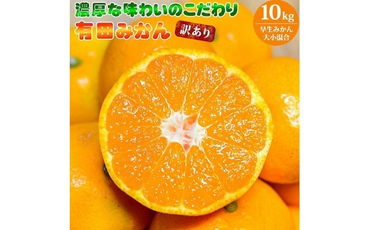 EA6036n_（訳あり 家庭用）濃厚な味わいのこだわり 有田みかん 10kg (早生みかん・大小混合)
