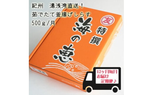 C6018n_紀州湯浅湾直送！海の恵 茹でたて釜揚げしらす (冷蔵) 【定期便】500ｇ×12回
