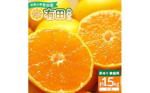 和歌山県産 有田みかん【訳あり 家庭用】約1.5kg 小玉 3S～Sサイズ おまかせ_DI6045