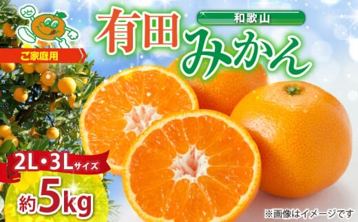 ZJ6084_ご家庭用 和歌山有田みかん 約5kg (2L、3Lサイズいずれか)【湯浅町】