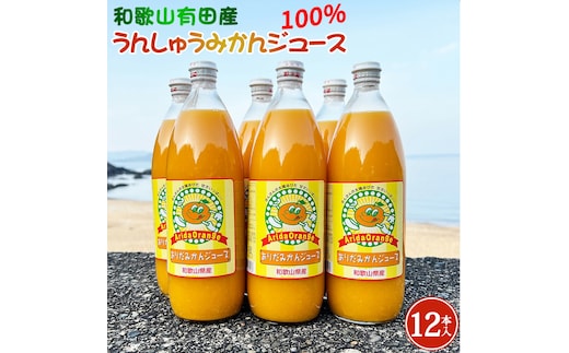 dショッピングふるさと納税百選 | 『果汁飲料』で絞り込んだにかほ市の