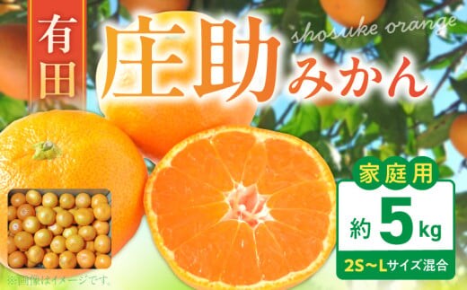 BK6015_【2026年先行予約】庄助みかん (家庭用・サイズ混合) 約5kg 