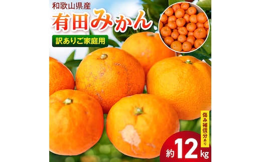 【2026年先行予約】【訳あり ご家庭用】和歌山県産 有田みかん 10kg＋2kg保証分 サイズ混合_EH6100