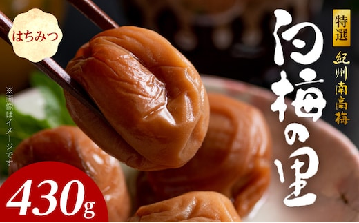 SF2011_特選紀州南高梅「白梅の里」はちみつ 430ｇ