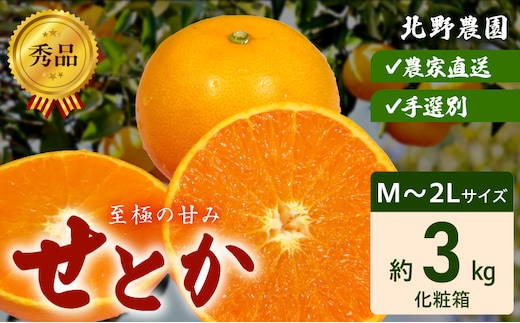 DZ6206_秀品 せとか 和歌山 有田 化粧箱 M～2Lサイズ 大きさお任せ 3kg