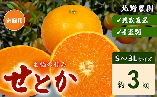 DZ6207_ご家庭用 せとか 和歌山 有田 S～3Lサイズ 大きさお任せ 3kg