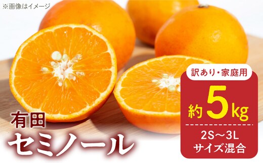 DZ6211_【2027年先行予約】訳あり 家庭用 セミノール 和歌山 有田 2S～3Lサイズ混合 約5kg