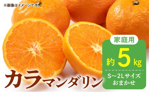 DZ6212_【2026年先行予約】秀品 カラマンダリン なつみ 和歌山 有田 秀品 S～2Lサイズ 大きさお任せ 約5kg