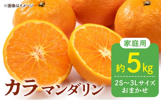 DZ6221_【2026年先行予約】訳あり 家庭用 カラマンダリン なつみ 和歌山 有田 2S～3Lサイズ混合 5kg