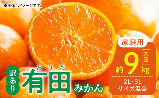 DZ6217_ご家庭用 有田みかん 大玉(2L,3Lサイズ混合) 約9kg