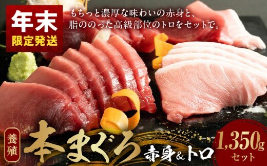 AZ6020_nm_【年末限定発送】本マグロ (養殖) 赤身＆トロ セット 1350g