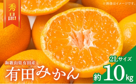 ZD7016_【秀品】 和歌山 有田みかん 10kg (2Lサイズ・秀品）