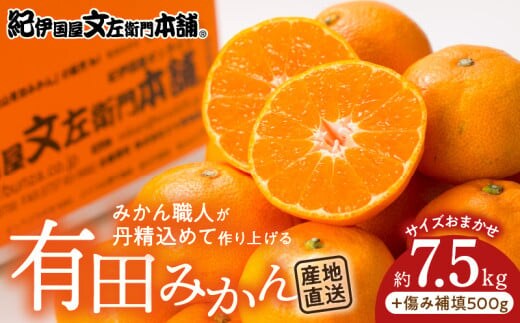 V7441_有田みかん約7.5kg(+傷み補填分500g)=合計8kg【サイズおまかせ】 / 産地直送 / 紀伊国屋文左衛門本舗（お届け日指定不可）