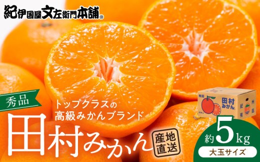 V7451_田村みかん／5kg秀品【大玉サイズ】/ 紀州和歌山有田郡湯浅町田村地区産 / 最高級プレミアムブランドの田村ミカン / 紀伊国屋文左衛門本舗(お届け日指定不可)