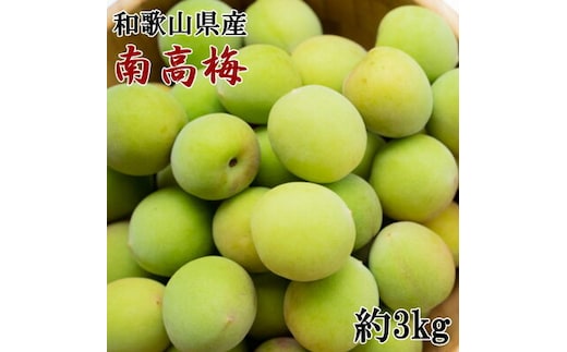 ZD6711_【2026年先行予約】【和歌山名産】南高梅 約3kg（サイズ混合）秀品
