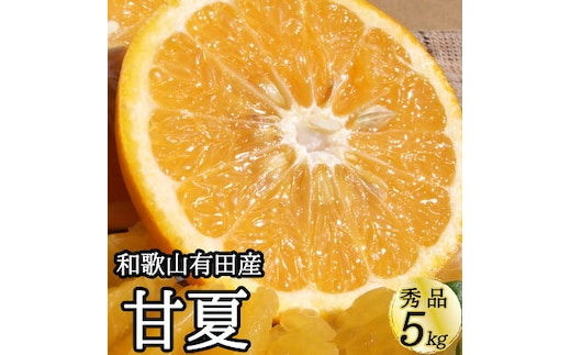 V7305_甘夏 (あまなつ) 秀品 約5kg 和歌山県有田産 春みかん 春柑橘 (果実サイズおまかせ) / 紀伊国屋文左衛門本舗