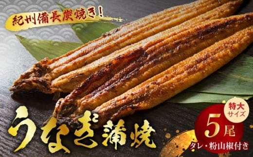 V7303_炭焼き うなぎ 蒲焼 特大サイズ 5尾 セット（約200g前後×5尾）タレ 粉山椒 付き 国産 鰻 冷凍 ウナギ 1尾ずつ真空パック 土用の丑の日 紀伊国屋文左衛門本舗