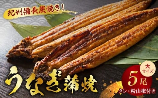 V7304_炭焼き うなぎ 蒲焼 大サイズ 5尾 セット（約150～199g×5尾）タレ・粉山椒付き 国産鰻 冷凍ウナギ 1尾ずつ真空パック 土用の丑の日 紀伊国屋文左衛門本舗