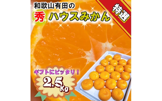 BD7007n_特撰品 有田のハウスみかん 赤秀 2.5kg 化粧箱入り (S～Lサイズおまかせ)2026年7月発送