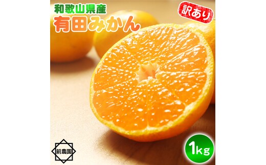 BL6169_【2026年先行予約】【産地直送】和歌山県産 有田みかん 1kg サイズ混合 【訳あり】