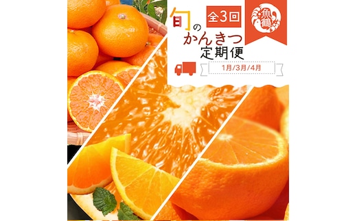 G60-T44_【定期便 全3回】紀州和歌山産旬の柑橘セット（みかん・紀州デコ・清見）