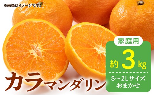 DZ6213_【2026年先行予約】秀品 カラマンダリン なつみ 和歌山 有田 秀品 S～2Lサイズ 大きさお任せ 約3kg