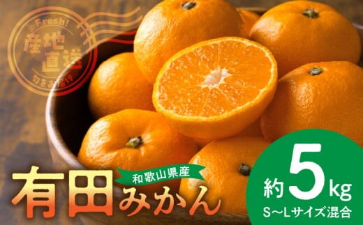 BL6500_【2026年先行予約】産地直送 和歌山県産 有田みかん 5kg