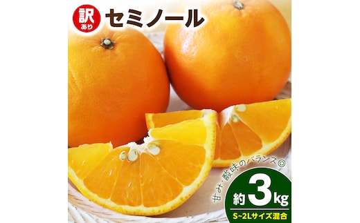 【2027年先行予約】《訳あり 家庭用》セミノール 約3kg（S～2Lサイズ混合）_EQ6009