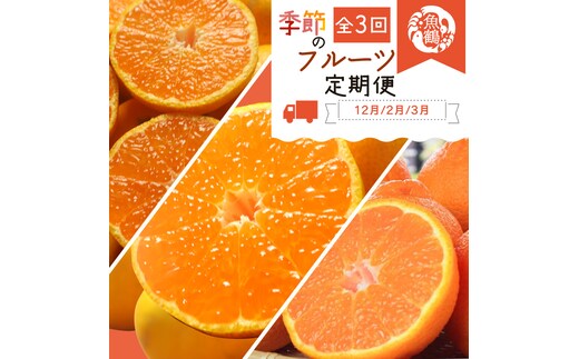 G60-T74_【定期便 全3回】紀州和歌山産旬の柑橘セット（田村みかん・はるみ・不知火）