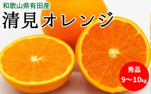 U6303_【2026年先行予約】清見オレンジ 秀品 約9～10kg 和歌山県有田産