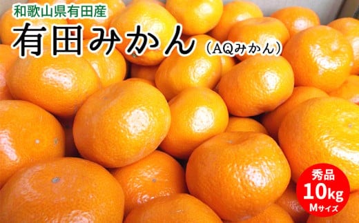 U6305_【2026年先行予約】有田みかん（AQみかん）約10kg Mサイズ 和歌山県有田産