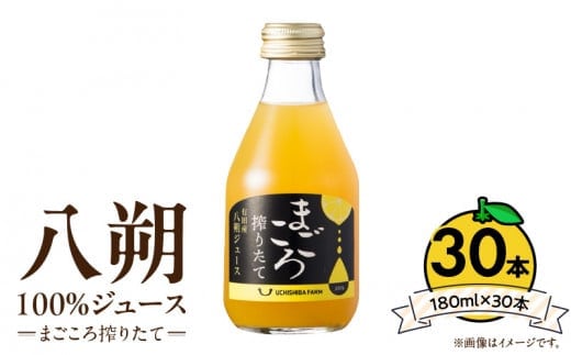 ZE6456_【まごころ搾りたて】八朔 100%ジュース 180ml × 30本 