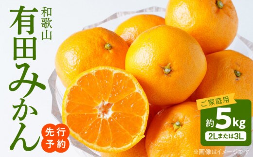 AT6307_ご家庭用 和歌山有田みかん 約5kg (2L、3Lサイズいずれか)【湯浅町】