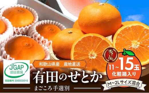 ZE6401n_【2026年先行予約】湯浅町産せとか11～15玉（M～2Lサイズ混合）化粧箱入り秀品【まごころ手選別】