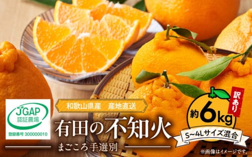 ZE6015n_【2026年先行予約】有田の不知火(しらぬひ) 【訳あり 家庭用】 6kg (S～4Lサイズ混合)まごころ手選別