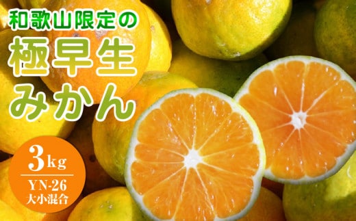 EA6104_【2026年先行予約】和歌山県限定の極早生みかん 3kg (YN-26 大小混合)