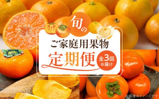G60-T80_【定期便 全3回】紀州和歌山産旬のご家庭用果物セット（ひらたね・富有柿・みかん）