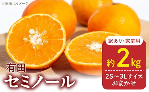 DZ6225_【2026年先行予約】訳あり 家庭用 セミノール 和歌山 有田 2S～3Lサイズ混合 2kg
