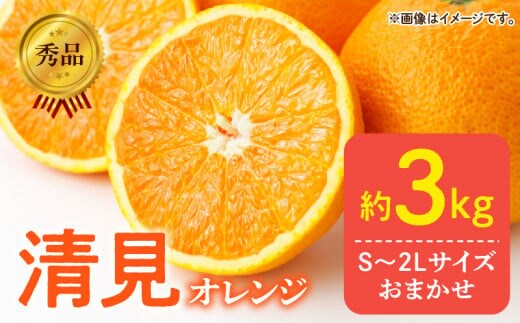 DZ6103_【ふるさと納税】【2026年先行予約】秀品 きよみ 清見オレンジ 和歌山 有田 S～2Lサイズ 大きさお任せ 約3kg