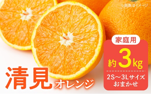 DZ6226_【2026年先行予約】訳あり 家庭用 きよみ 清美オレンジ 和歌山 有田 2S～3Lサイズ混合 3kg
