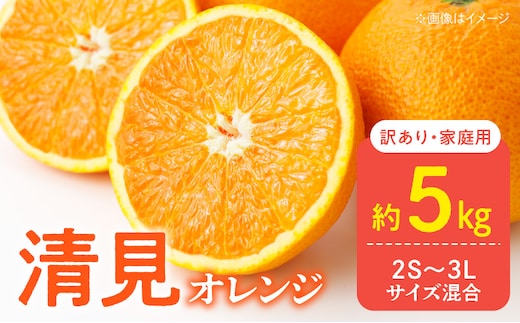 DZ6106_訳あり 家庭用 きよみ 清美オレンジ 和歌山 有田 2S～3Lサイズ混合 5kg